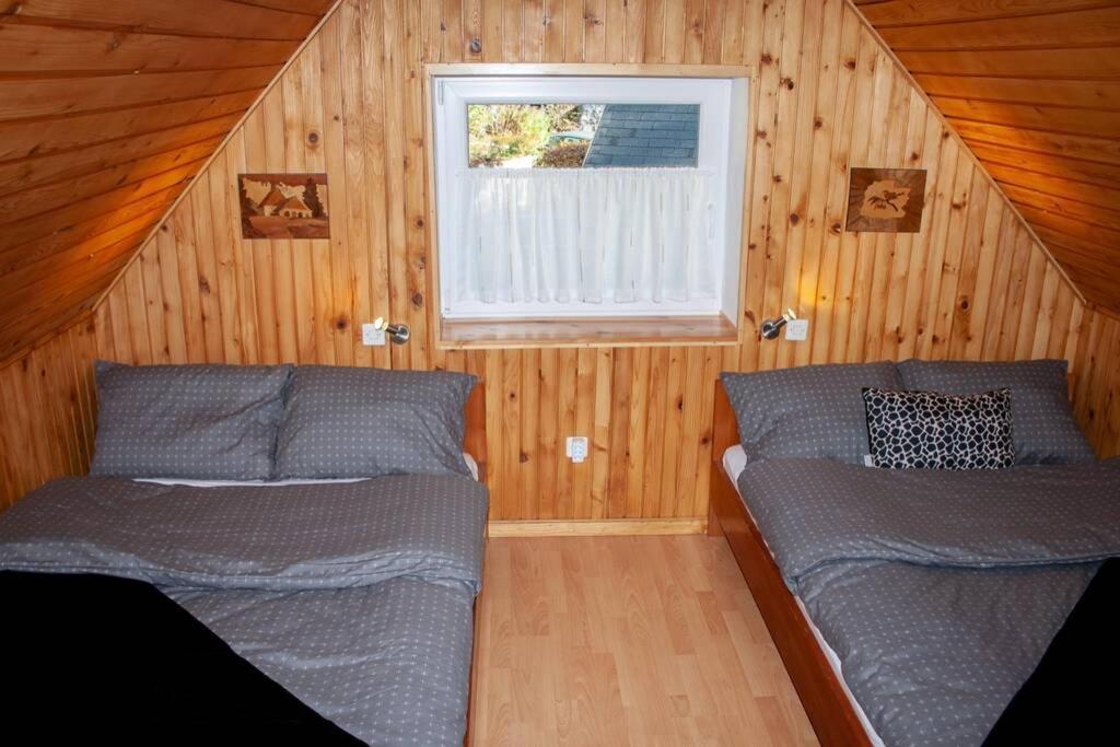 Rezidenca Mitja Villa Kranjska Gora Buitenkant foto